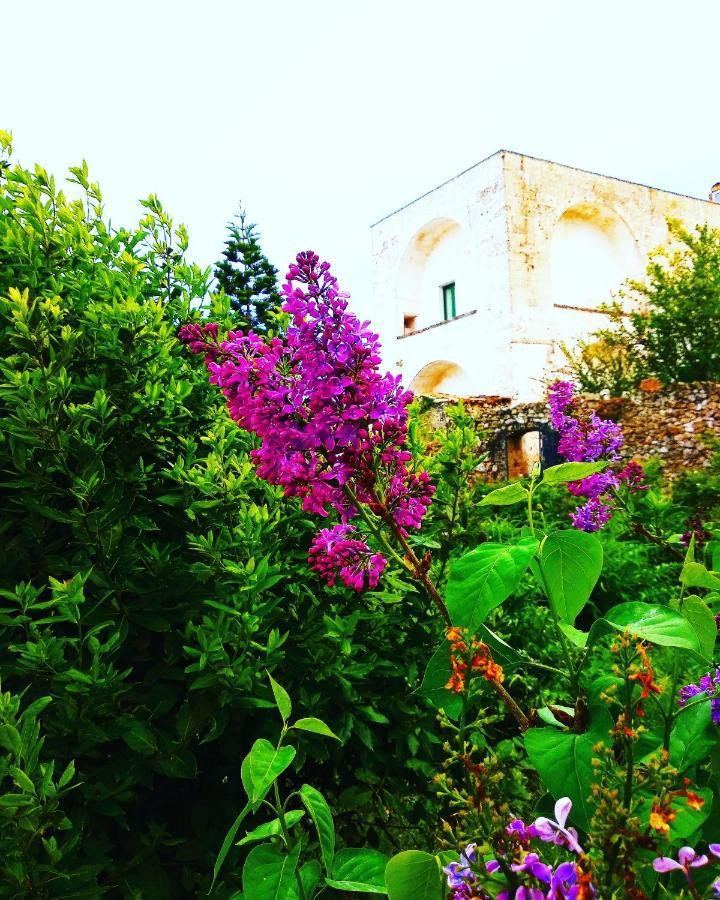 Masseria Delle Rose 1760 Алессано Екстер'єр фото